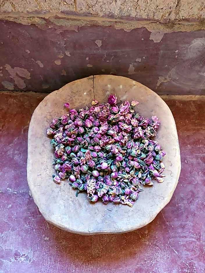 Les Jardins du M'goun