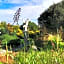 Monakaladi Gardens Function Venue and Homestead