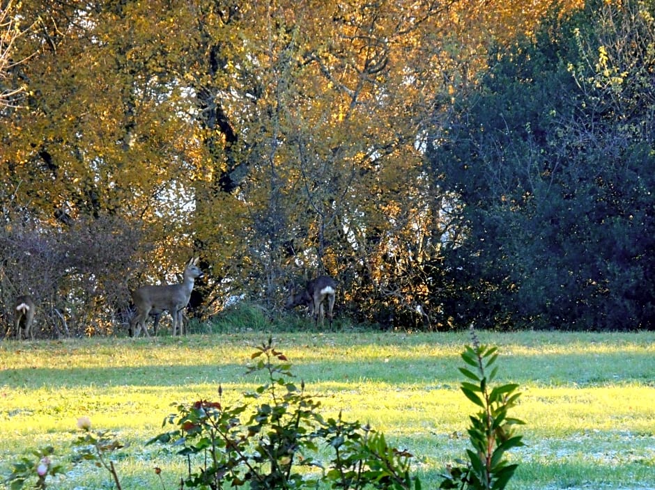 Le Colombier