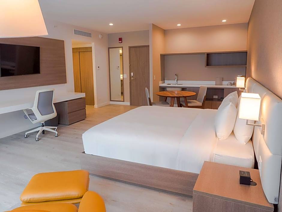 Hilton Garden Inn Santa Ana San Jose