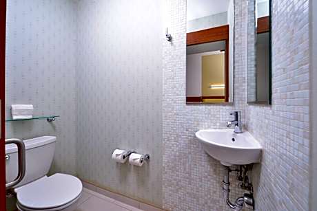 Studio, 1 King Bed (Hearing Accessible)