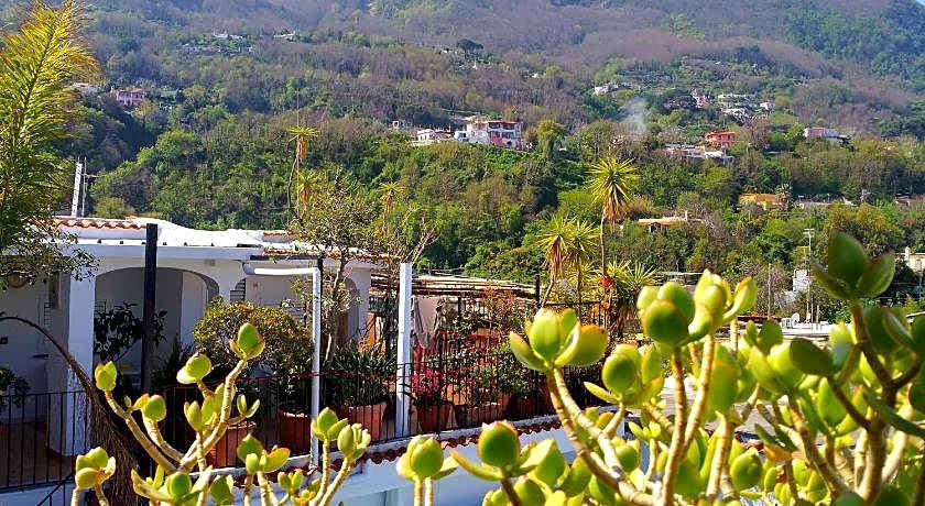 Hotel La Maggioressa