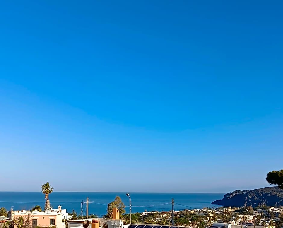 Villa Olivia Residence Ischia - nel Verde con Piscine e Vista Mare
