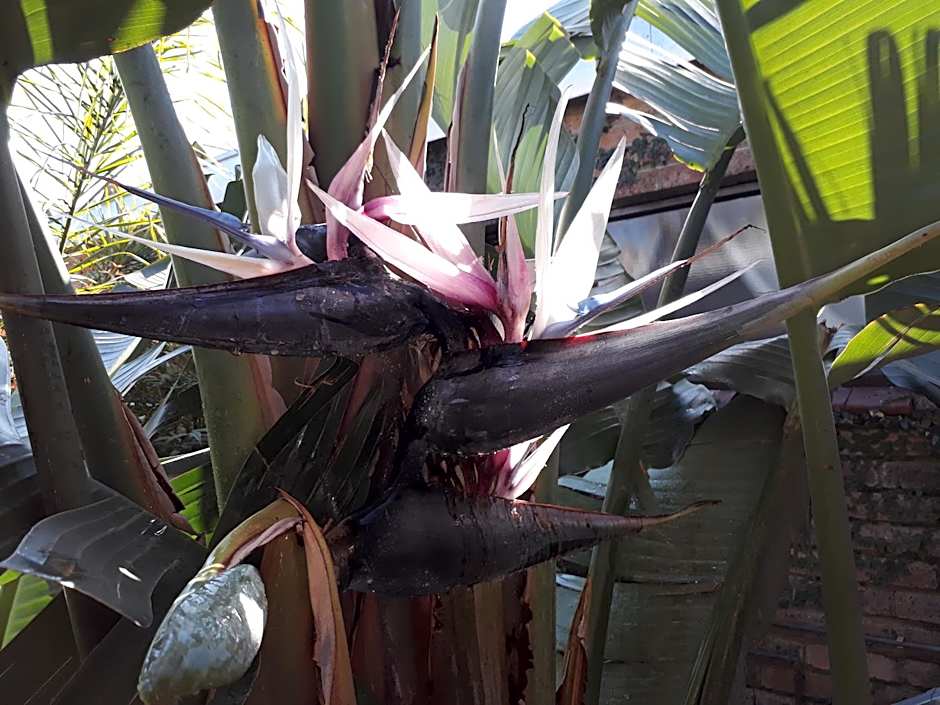 Blessings Guesthouse