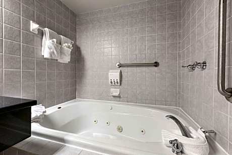 1 Queen Bed Suite Non-Smoking