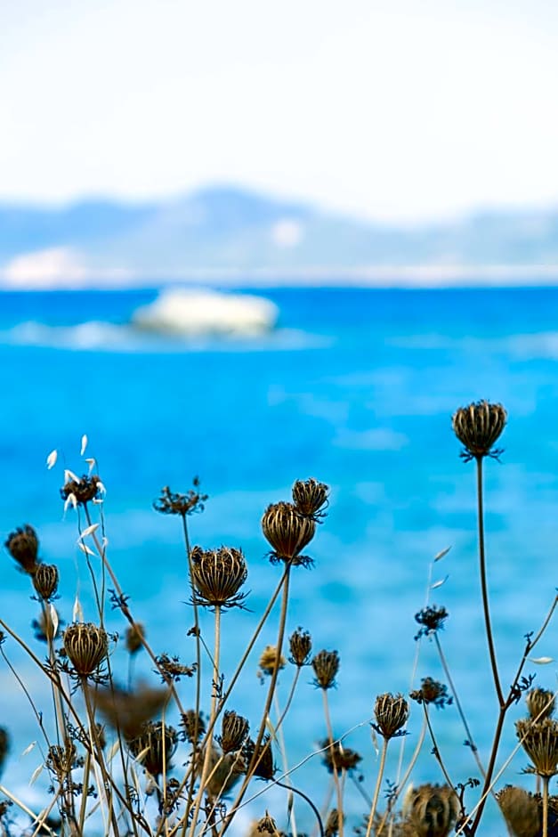 Eco Village Baia Delle Ginestre