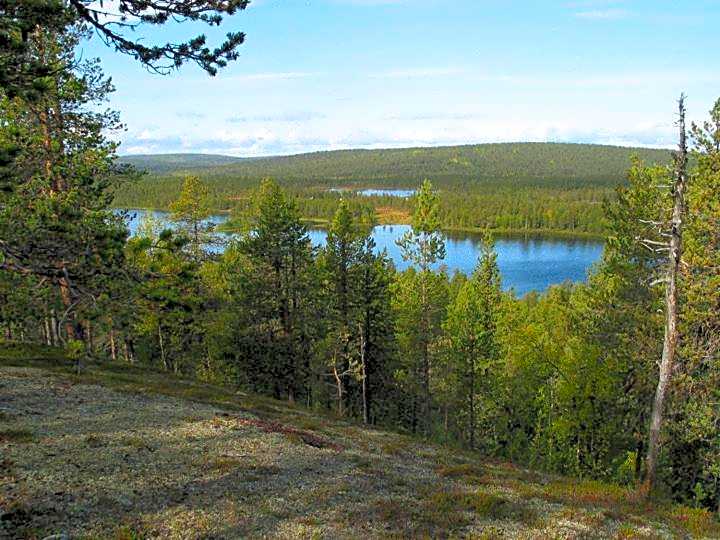 Arctic Lodge Hetan Kota