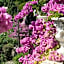 Park Hotel Ville Montefiori