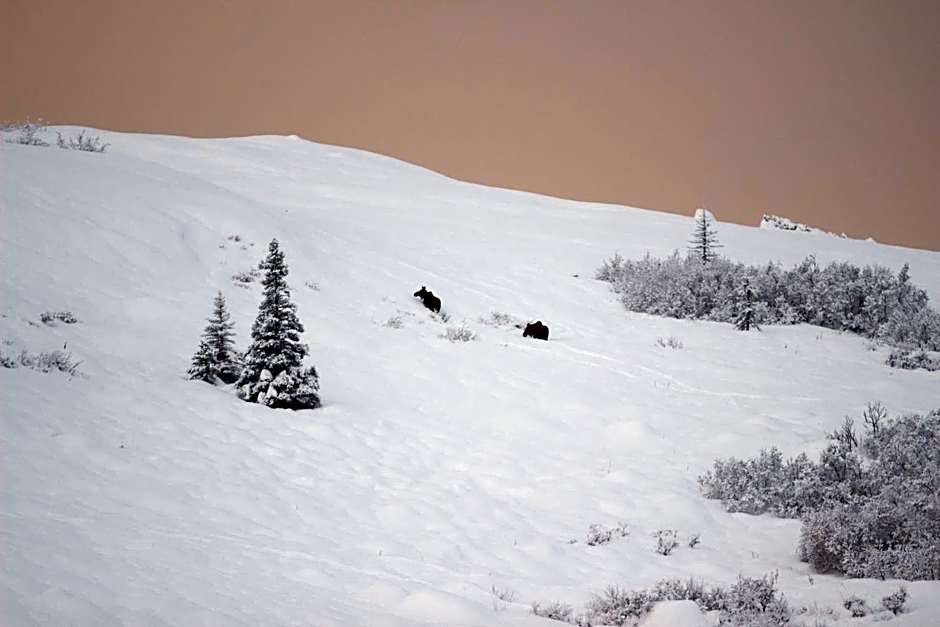 Caribou Lodge Alaska