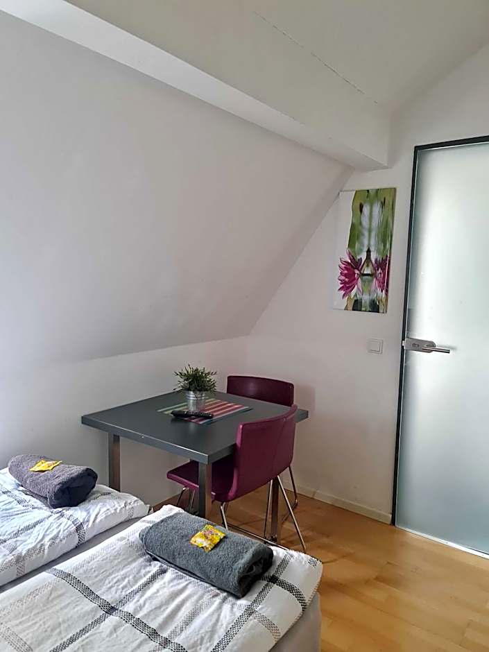 Simplex Apartments Am Ludwigsplatz