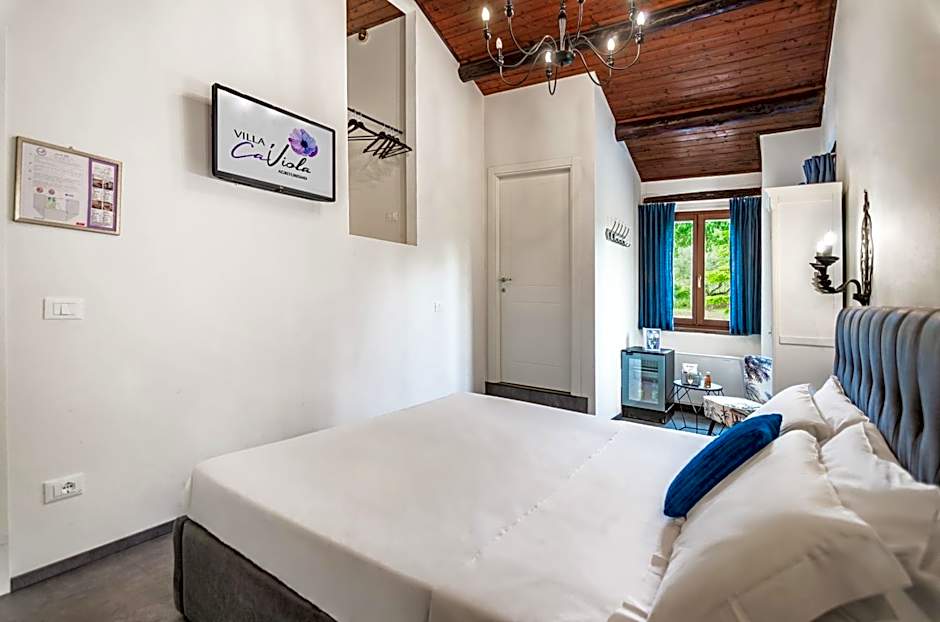 Villa Ca' Viola Rimini