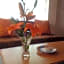 Hotel Secreto