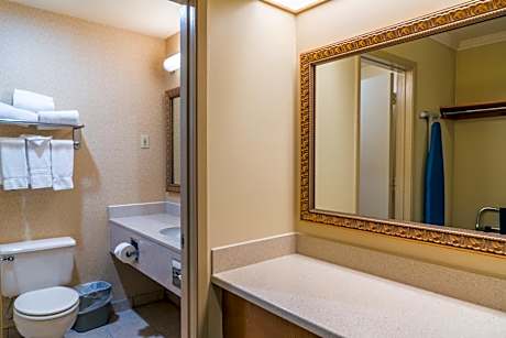 King Suite with Sofa Bed - Non-Smoking