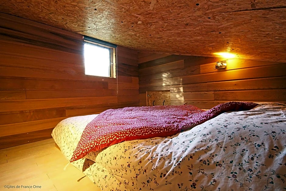 Les Insolites de Coco