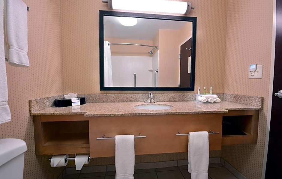 Holiday Inn Express Hotel & Suites High Point South By IHG