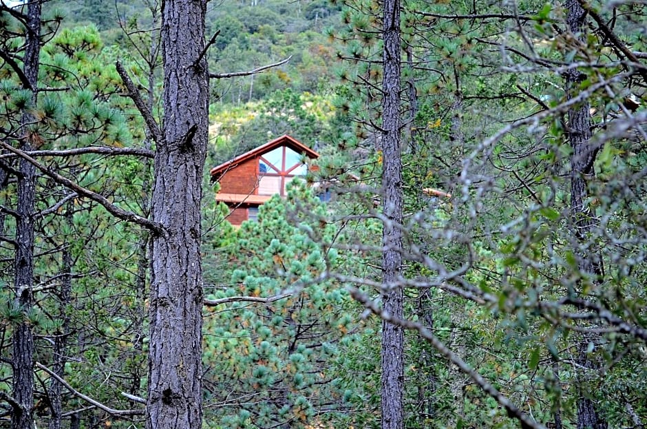 Bosques de Monterreal