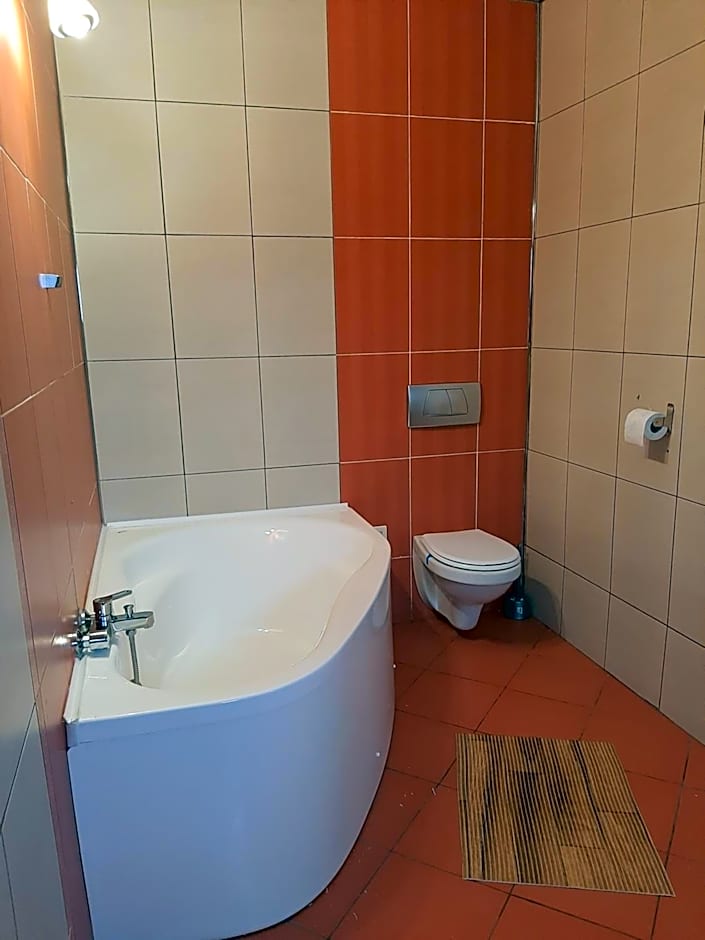 Pensiunea Montan din Bran,sat Simon SPA indoor