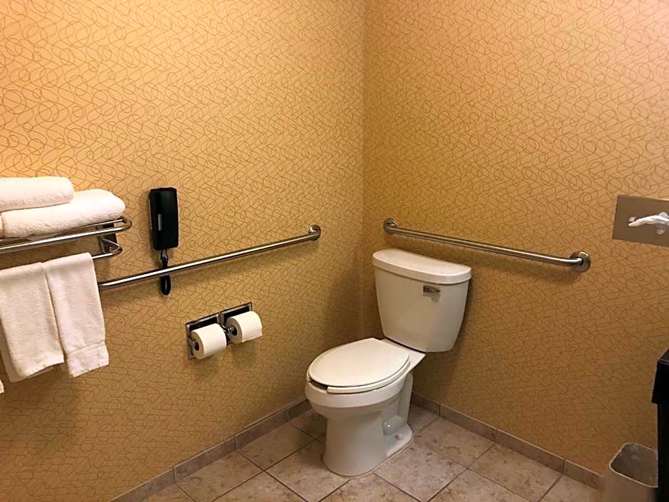 Holiday Inn Express Hotel & Suites Lansing-Dimondale By IHG