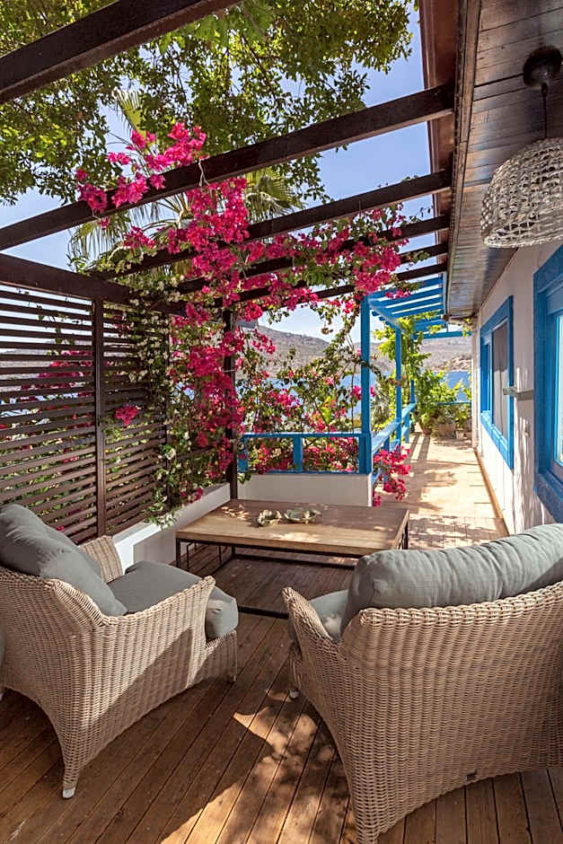Sabrinas Haus - Adult Only +14