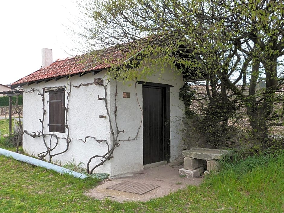 Logis Hotel Des Grands Vins