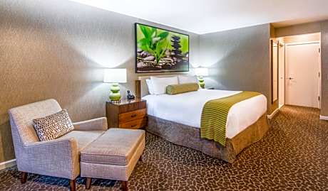 King Room with Pool View