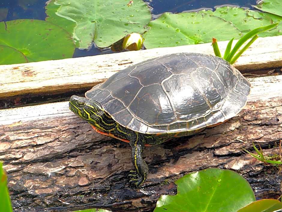 Hotel Civilia Lakeside by Civilia Golf Retreat