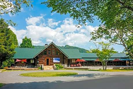 Deluxe Double or Twin Room with Mountain View