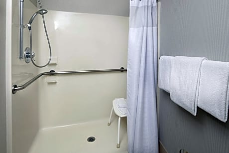 Room, 1 King Bed