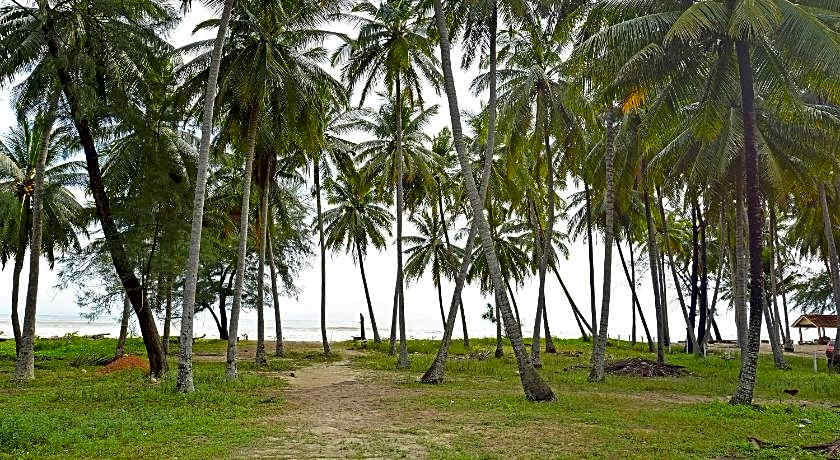 Capital O 90664 Rabi Hotel