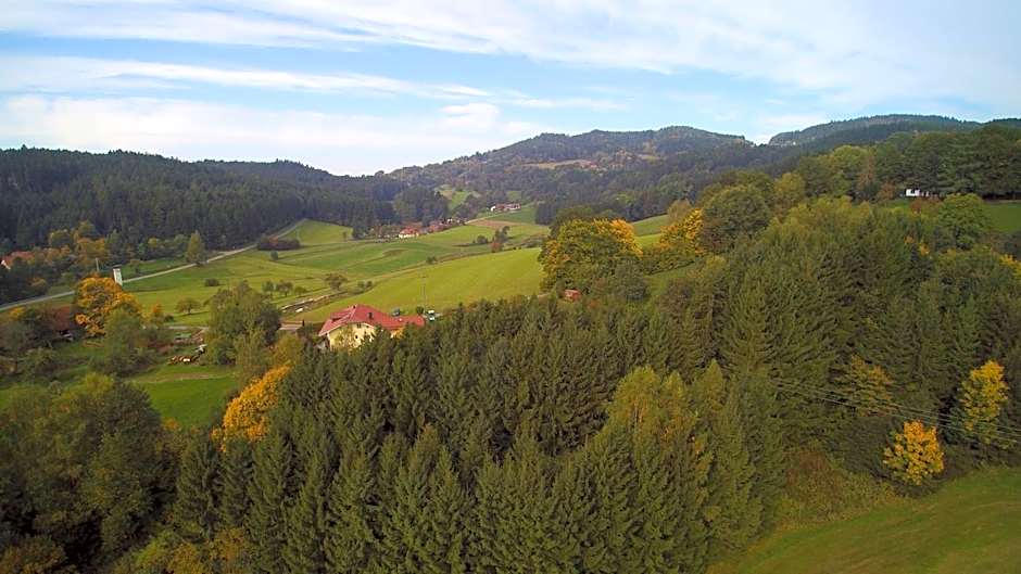 Village Hotel Bayerischer Wald