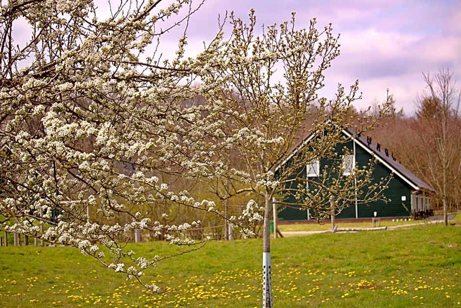 Horsetellerie Rheezerveen