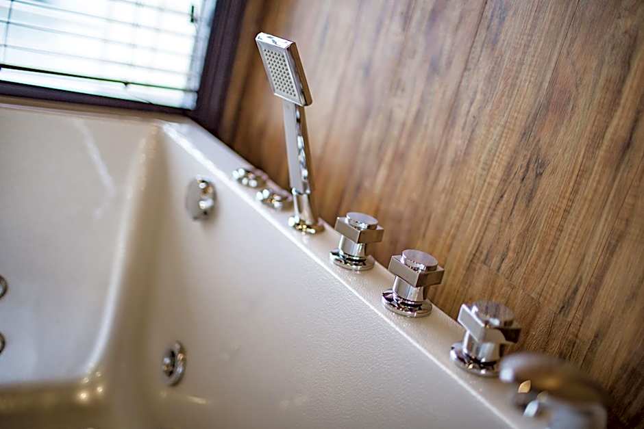 Alisa Premier Cruise