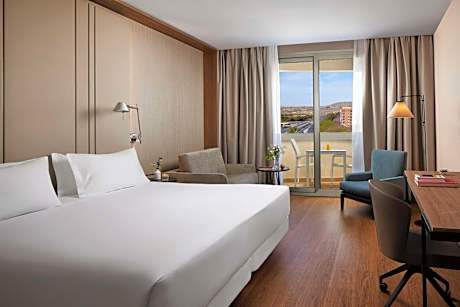 Superior Double or Twin Room with Terrace