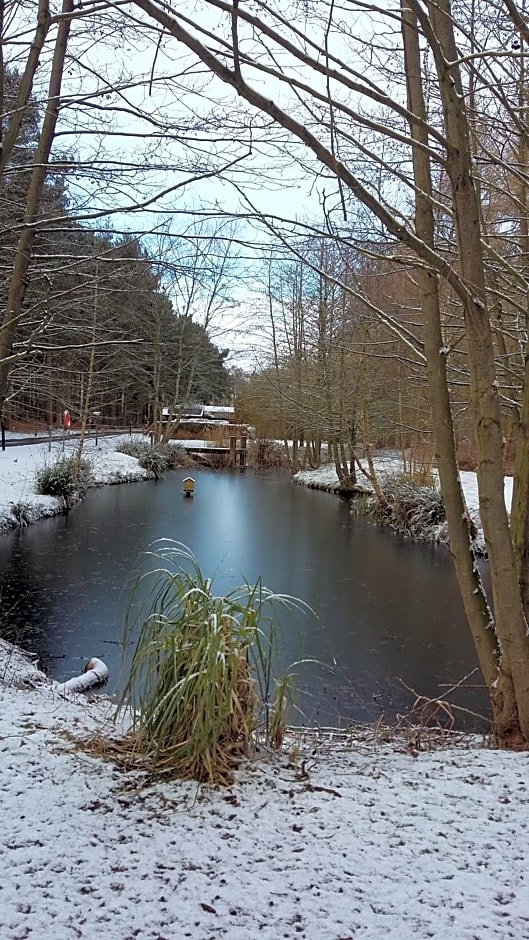 Hollicarrs - Woodland Lodge