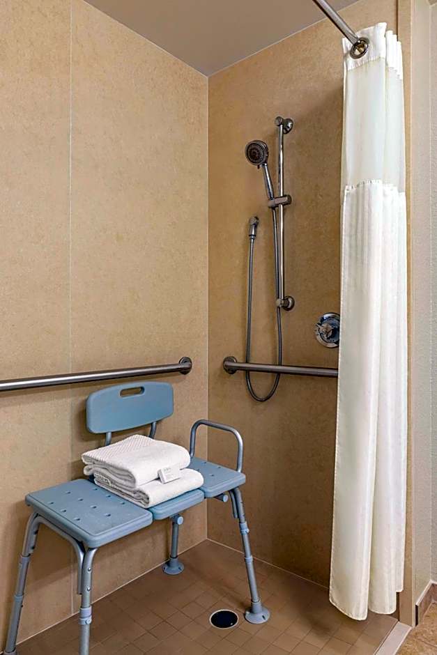 Embassy Suites by Hilton Orlando Lake Buena Vista South