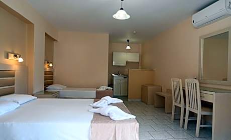 Standard Triple Studio