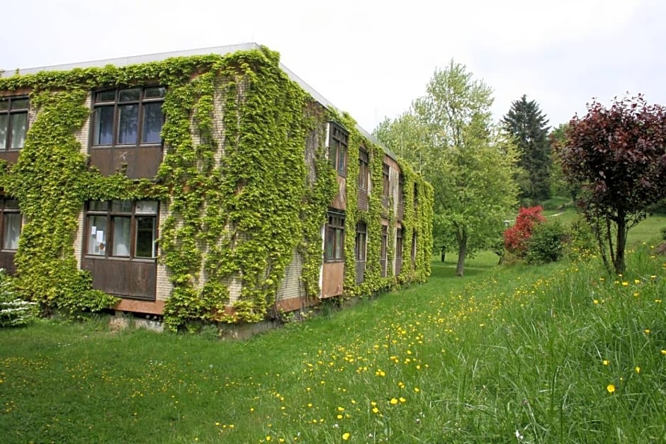 Blumenwiese Appartement