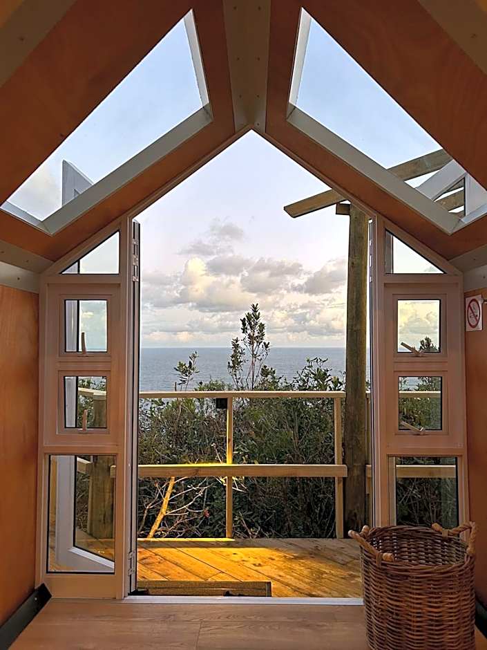 The Hive - Jungle at Misty Mountain Reserve