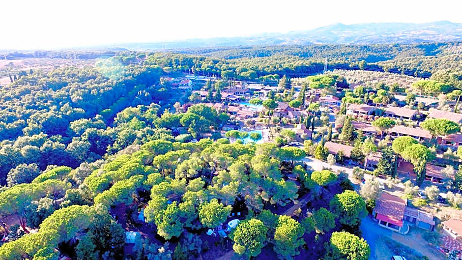 ISA-Residence with swimming pool in Guardistallo surrounded by greenery