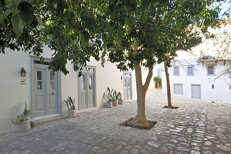 Cactus Hydra - Art Apartments