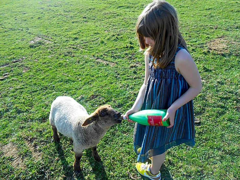 La Ferme des 3 Suissesses