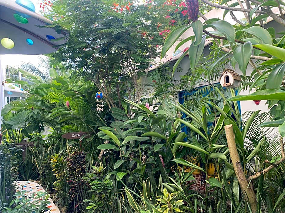 Maison Bacalar