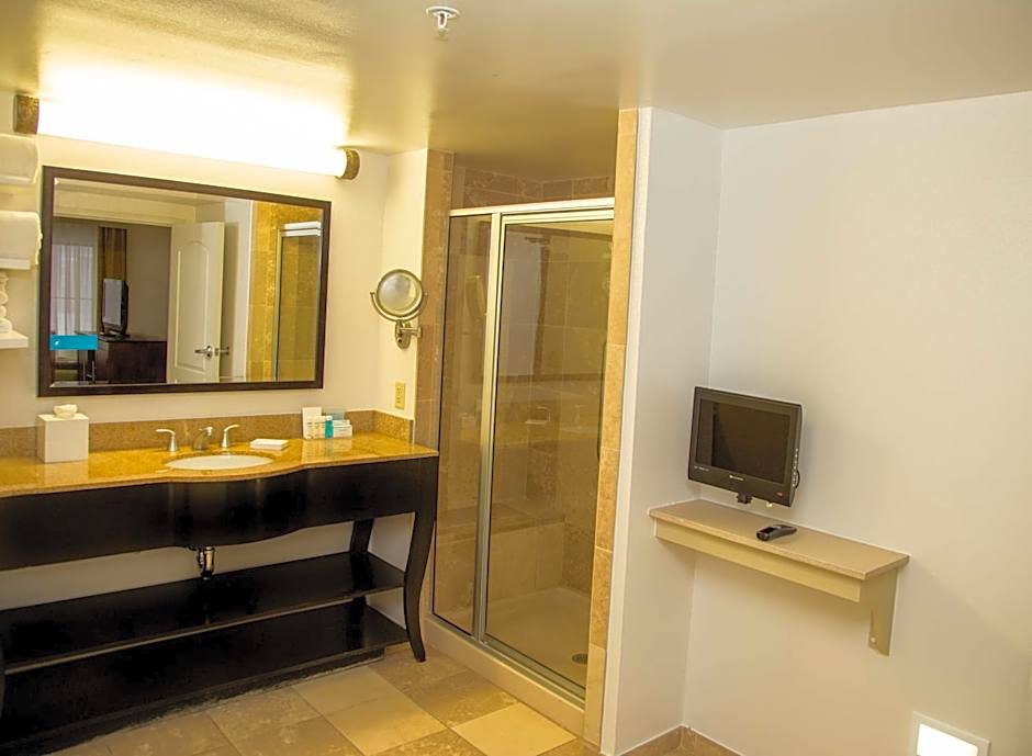Hampton Inn By Hilton & Suites Albany-Downtown, NY