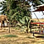 Ashnil Samburu Camp