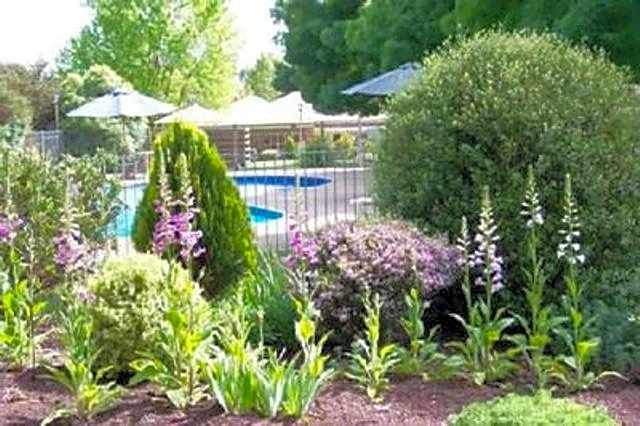 Mansfield Valley Motor Inn