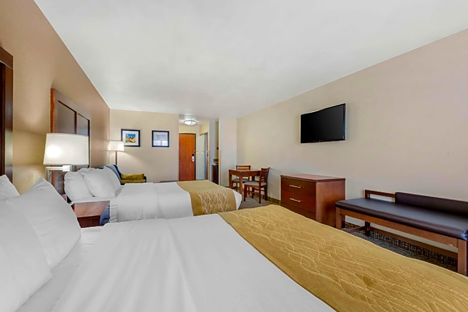 Comfort Inn & Suites Mitchell I-90