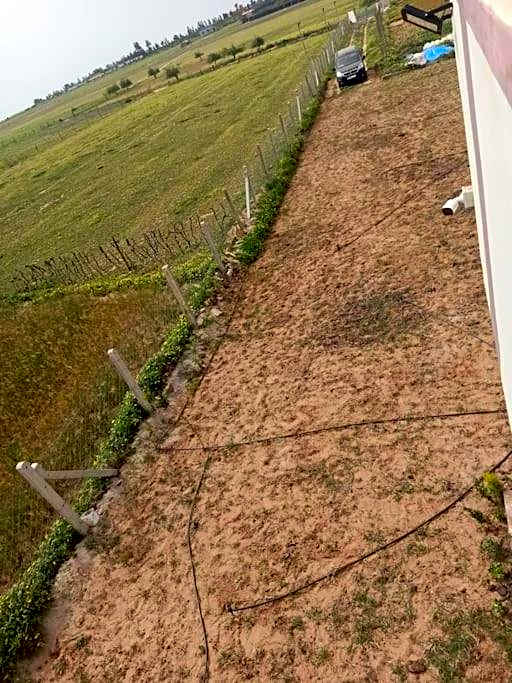 Ferme de Rêve, logement Entier à Louer