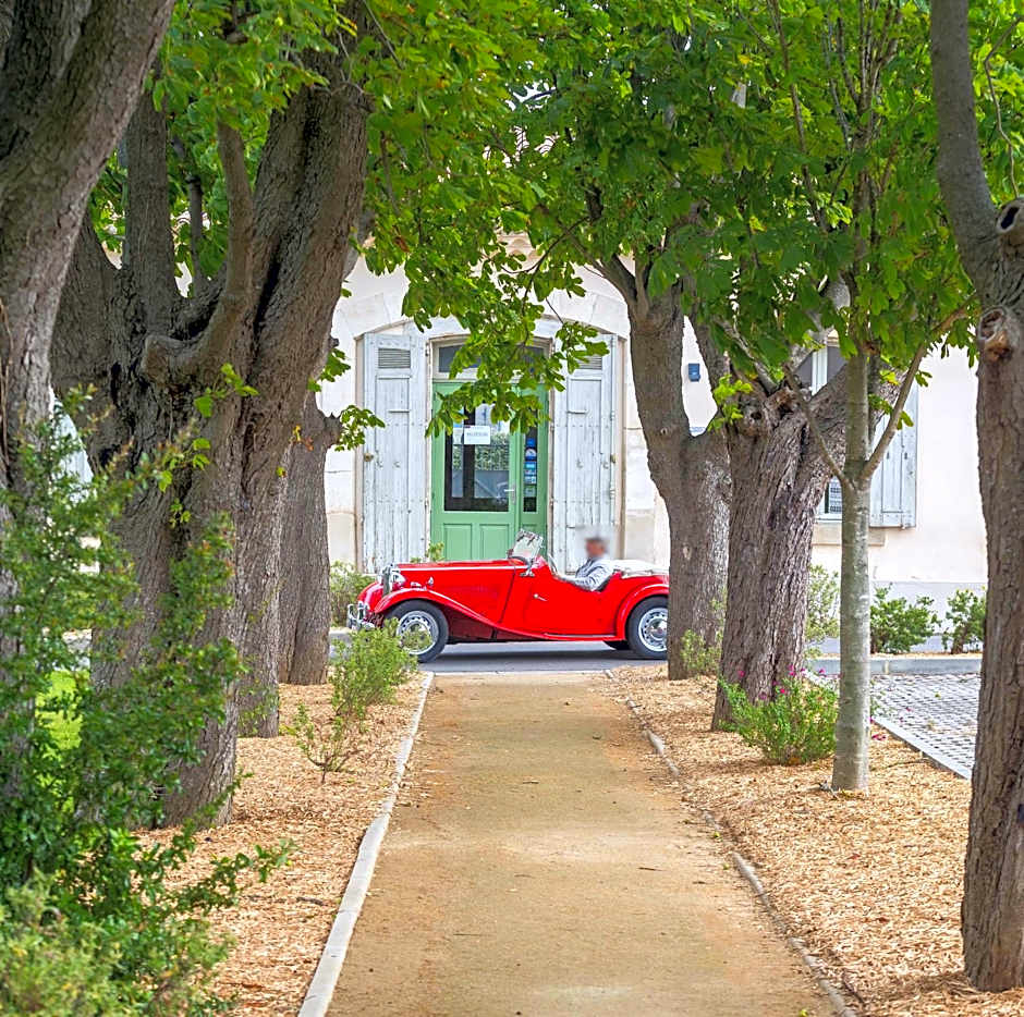 Cerise Carcassonne Sud