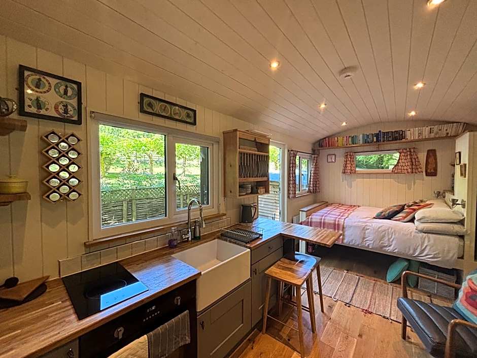 Shepherd’s delight