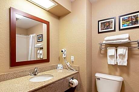 King Room with Kitchenette - Non-Smoking